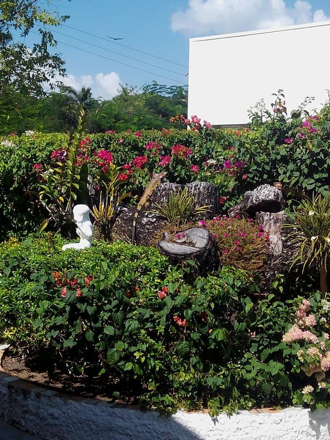 Casa De Los Suenos B&B Coronado Panama Плайя-Коронадо Экстерьер фото