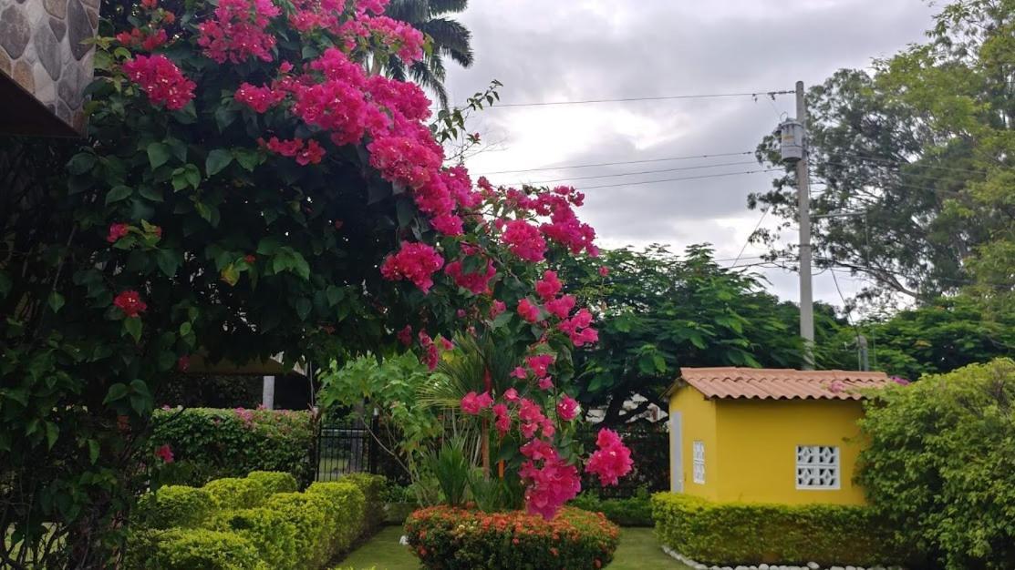 Casa De Los Suenos B&B Coronado Panama Плайя-Коронадо Экстерьер фото