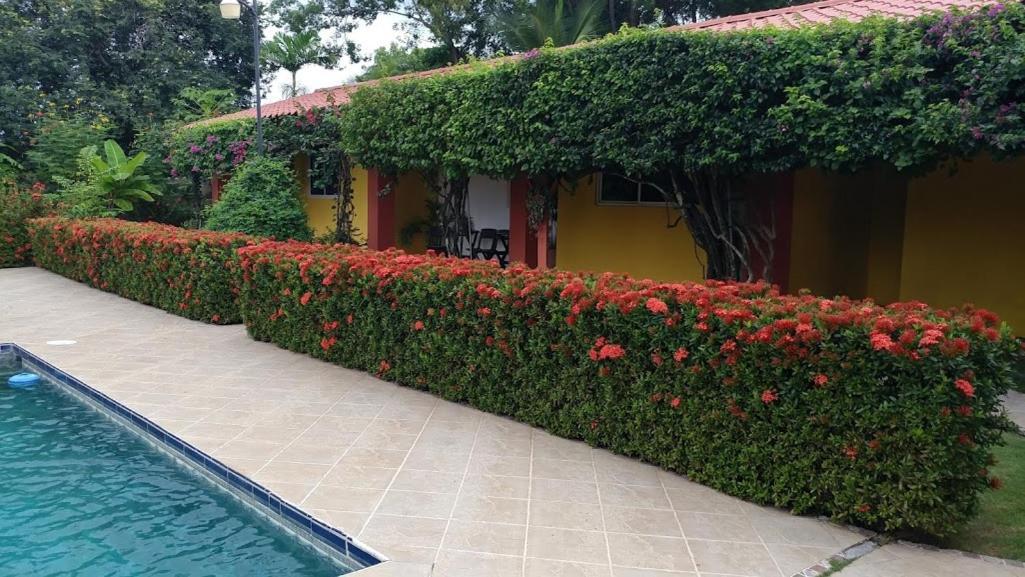 Casa De Los Suenos B&B Coronado Panama Плайя-Коронадо Экстерьер фото